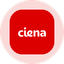 Ciena Tokenized Stock (Ondo)