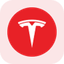 Tesla Tokenized Stock (Reality)