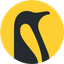 Penguin Solutions Inc (Derivatives)