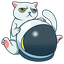 Cat Token