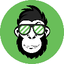 APEcoin.dev