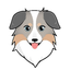 Australian Safe Shepherd