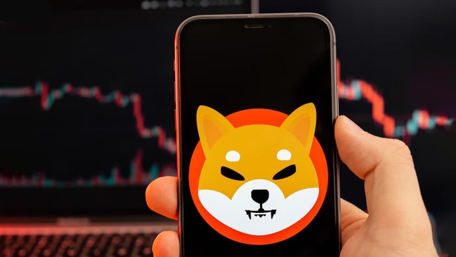 بیش از ۷۵درصد سرمایه‌گذاران شیبا در ضرر هستند