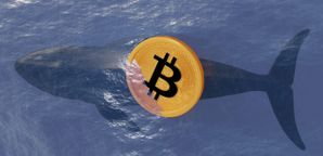 قمار سنگین نهنگ پرحاشیه بازار روی سقوط بیت کوین تا ۹۲ هزار دلار