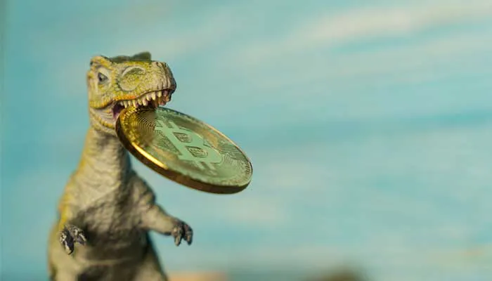 درخت بیت کوین - بخش اول: گونه