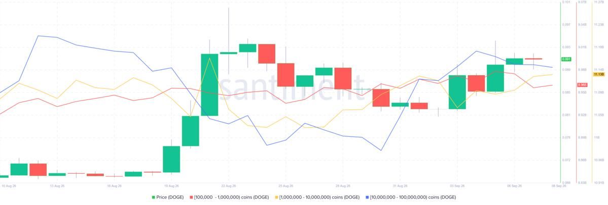 نمودار توزیع عرضه دوج کوین در سنتیمنت نمودار توزیع عرضه دوج کوین در سنتیمنت