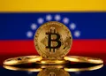 رشد قیمت بیت کوین و دیگر ارزهای دیجیتال همزمان با تحولات ونزوئلا