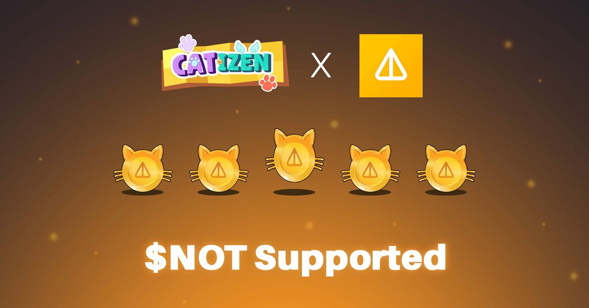 همکاری کتیزن با نات کوین برای سوزاندن ۵ میلیون توکن NOT