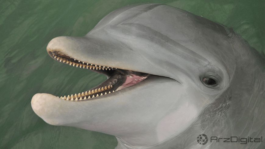 بیت کوین عجیبترین پول دنیا نیست! بیت کوین عجیبترین پول دنیا نیست!