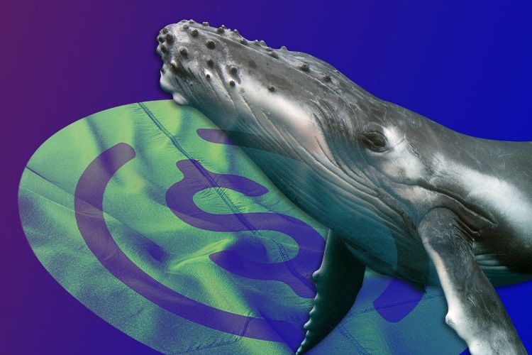 موجودی USDC نهنگ‌ها به کمترین میزان خود در ۲۲ ماه گذشته رسیده است