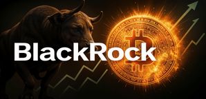 بلک راک بیش از ۷۰۰ هزار بیت کوین در صندوق ETF خود جمع آوری کرد