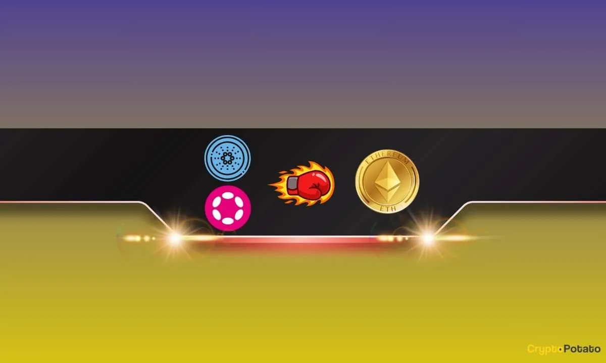 کاردانو و پولکادات بیشترین میزان توسعه را در ۳۰ روز گذشته دریافت کردند