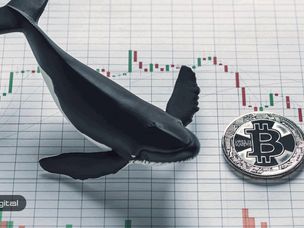 فعالیت نهنگ‌ها چه خبر خوب و بدی برای بازار بیت کوین دارد؟