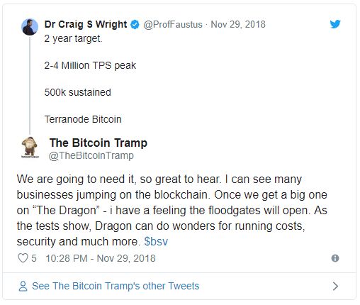 کریگ رایت: سایز بلاک‌های بیت کوین SV به 1 ترابایت خواهد رسید