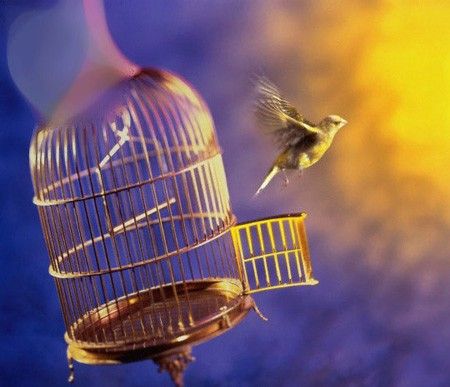 آینه سیاه، پیش روی دیکتاتور بزرگ