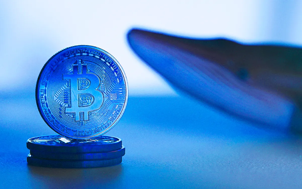 نهنگ‌ها در ۷ هفته گذشته ۲۲۰ هزار بیت کوین به ارزش ۹.۶ میلیارد دلار خریده‌اند