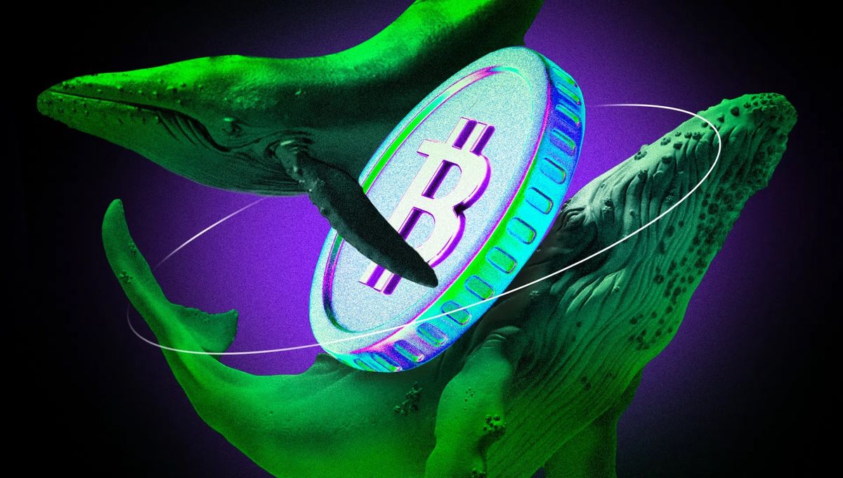 انباشت بیت کوین توسط سرمایهگذاران نهادی احتمالاً به پایان رسیده است