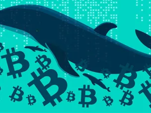 نهنگ‌های بیت کوین چه چیزی را می‌بینند که از چشم ما پنهان است؟ نحوه خواندن حرکات وال‌ها