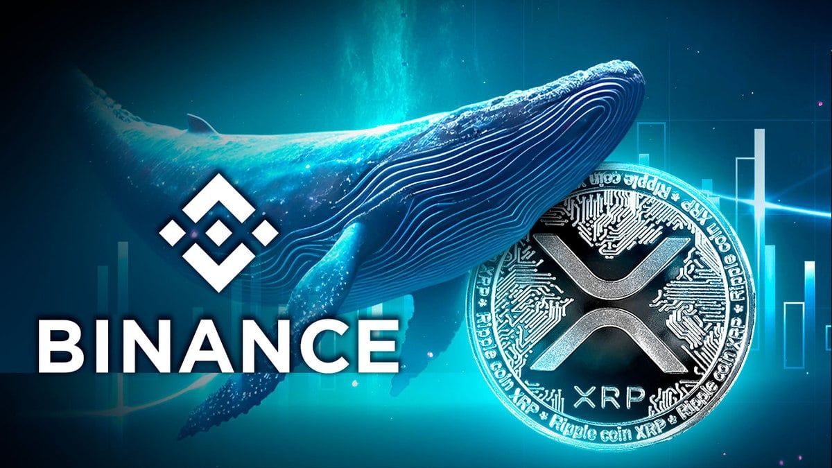 نهنگی بیش از ۱۳ میلیون دلار ریپل را به صرافی منتقل کرد