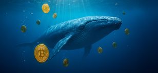 انتقال ۹۷۸ بیت کوین از یک منبع ناشناس به صرافی کوین بیس