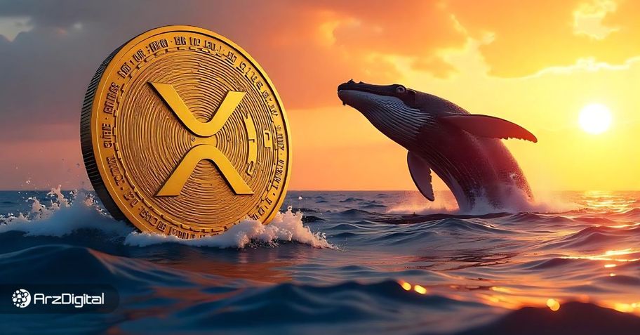 سناریو‌های قیمت ریپل در ماه ژوئن؛ نهنگ‌های XRP چه برنامه‌ای
در سر دارند؟