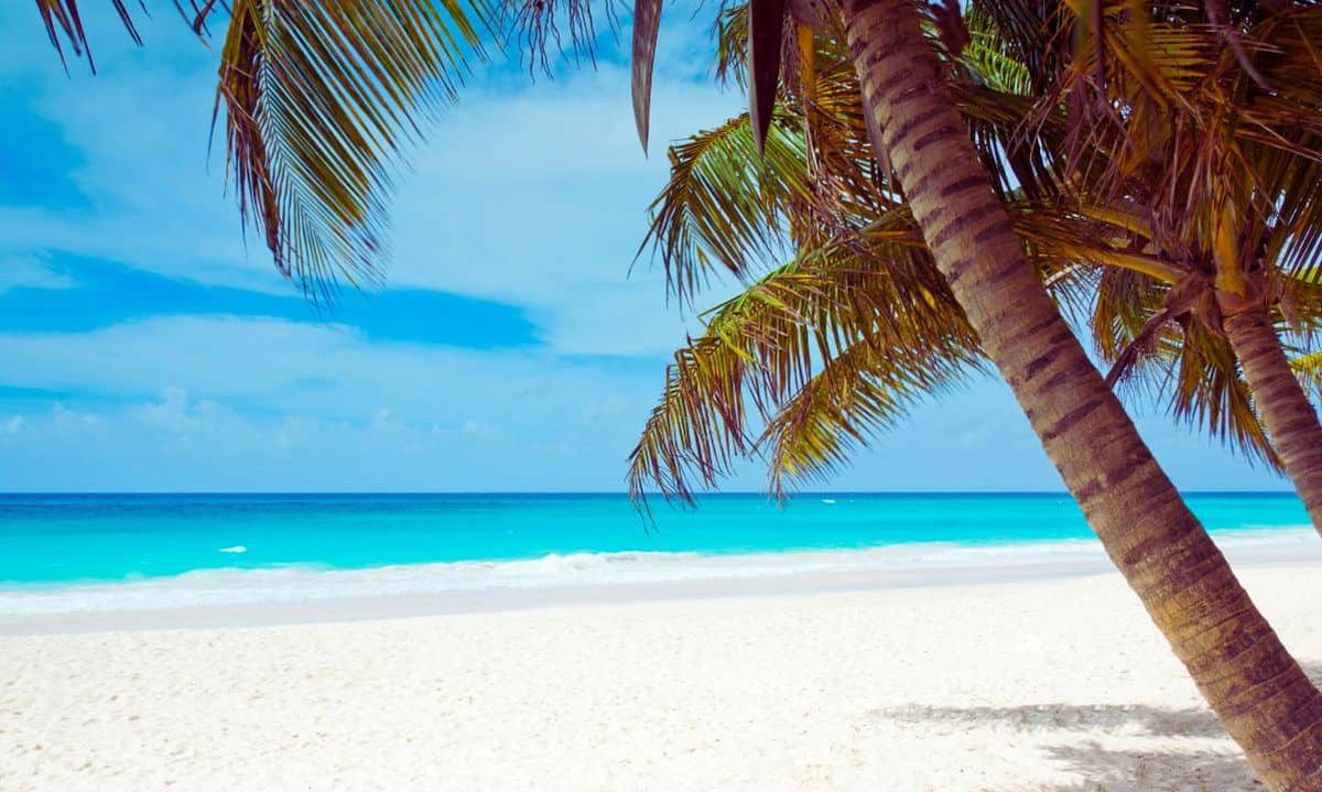 رشد چشمگیر پذیرش ارزهای دیجیتال در آمریکای لاتین و کارائیب