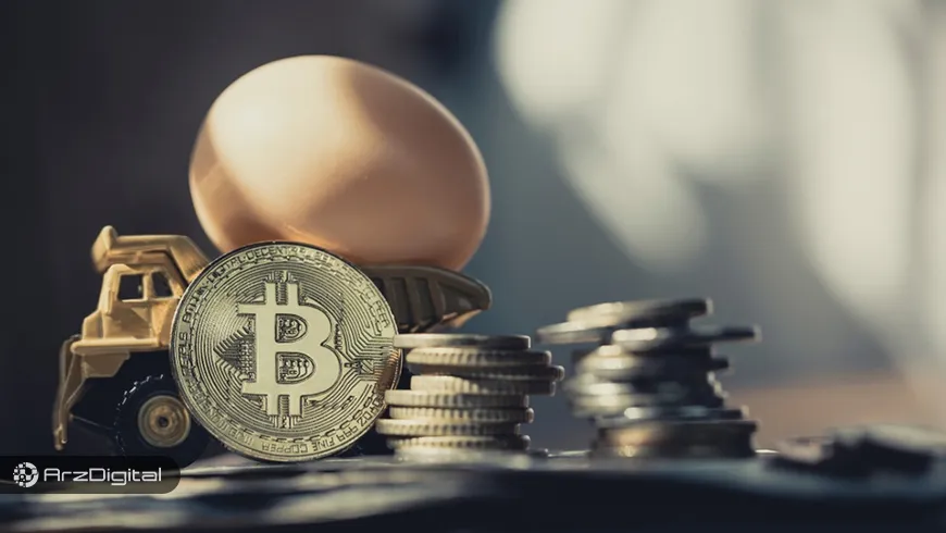 تفاوت سرمایه‌گذاری و سفته‌بازی در ارزهای دیجیتال چیست؟