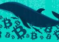 احتمال فروش بیت‌ کوین توسط سرمایه‌گذاران خرد؛ نهنگ‌ها فعلا عقب نشسته‌اند