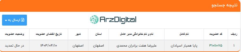 صرافی پینگی: نقد و بررسی و اطلاعات کامل