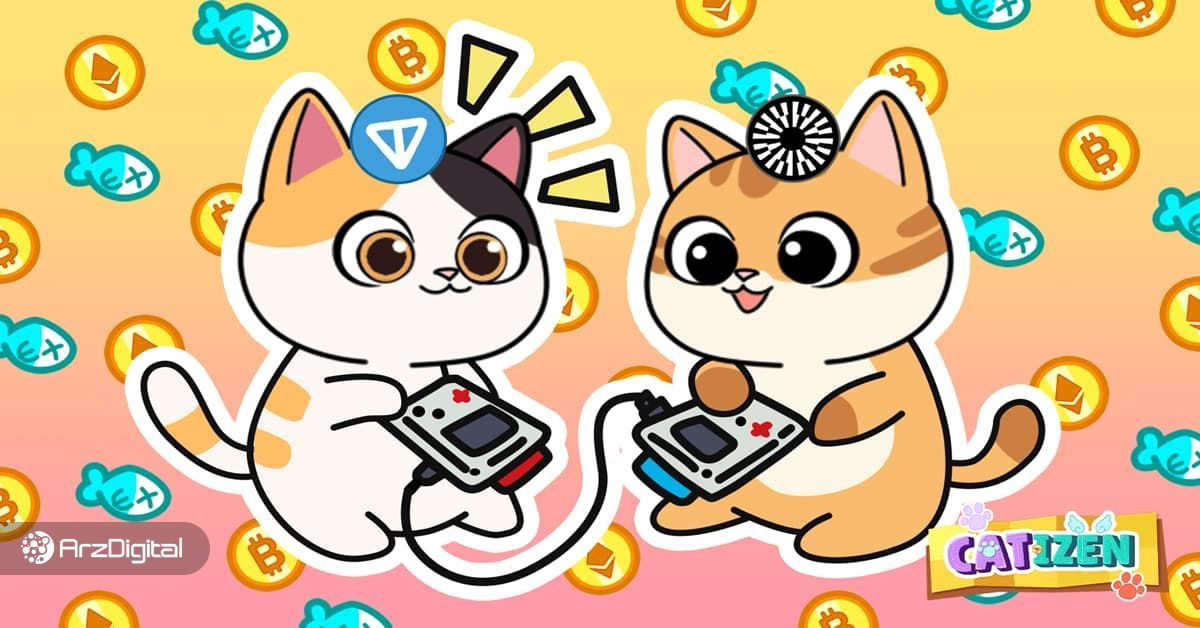 بازی کتیزن چیست؟ همه چیز درباره ایردراپ کتیزن