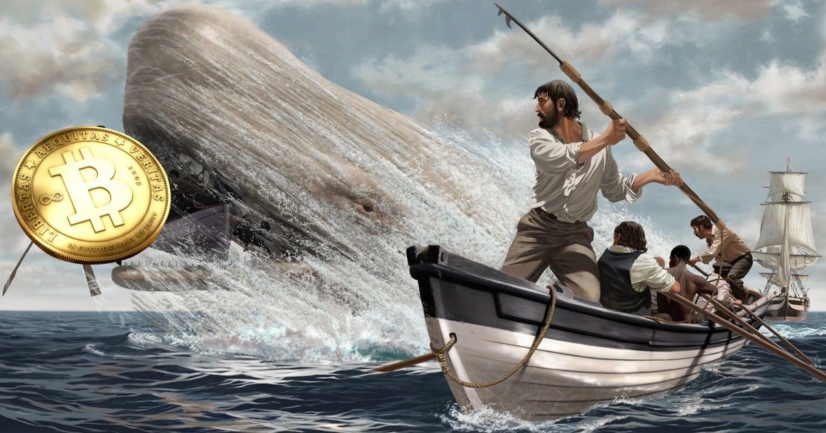 آیا ارزهای دیجیتال توانایی کاهش شکاف طبقاتی اجتماع را دارند؟