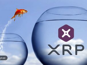 ریپل به دنبال توسعه هر چه بیشتر xRapid