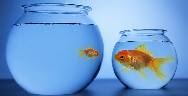 نبردی برای بقا؛ آیا غول‌های فناوری ارزهای دیجیتال را قبضه خواهند کرد؟