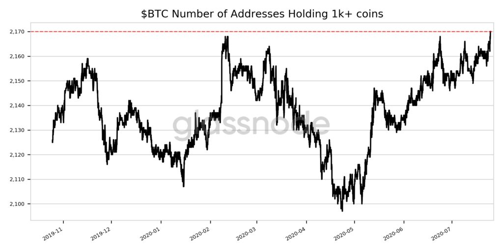 افزایش تعداد کیف پولهای دارای بیش از ۱۰۰۰ بیت کوین به بالاترین رقم ۹ ماه اخیر افزایش تعداد کیف پولهای دارای بیش از ۱۰۰۰ بیت کوین به بالاترین رقم ۹ ماه اخیر