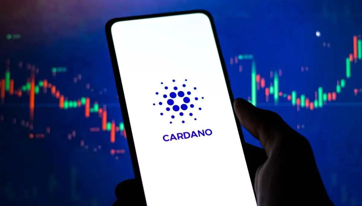 رشد ۴۶۲ درصدی ذخایر کاردانو در صرافی کوین‌بیس