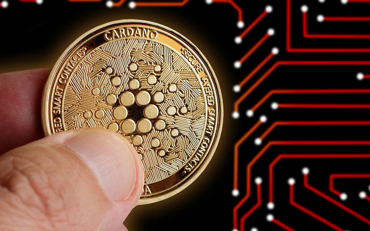 به‌روزرسانی بزرگ کاردانو با موفقیت انجام شد