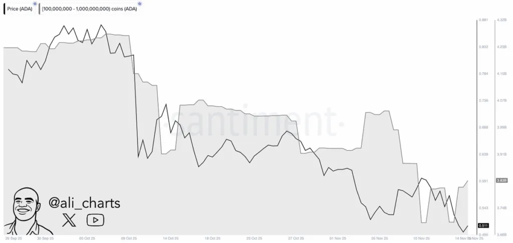 هشدار فروش ۲۱۶ میلیون دلاری نهنگها: آیا کاردANO ۱۲ درصد رشد میکند؟ نمودار فروش کاردانو توسط نهنگها