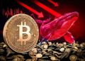 هجوم نهنگ‌ها و دلفین‌ها به بیت‌ کوین؛ کریپتوکوانت از انباشت سنگین خبر داد