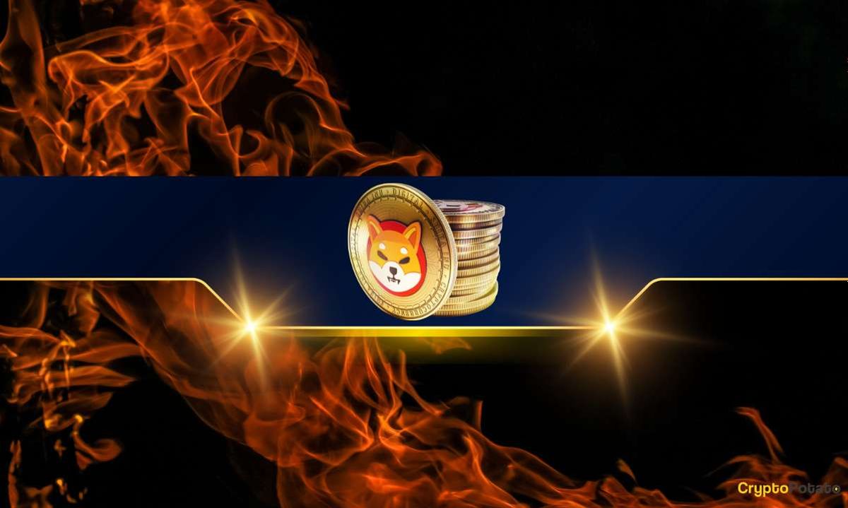 نرخ سوزاندن توکن شیبا اینو ۴۰۰۰ درصد افزایش یافته است
