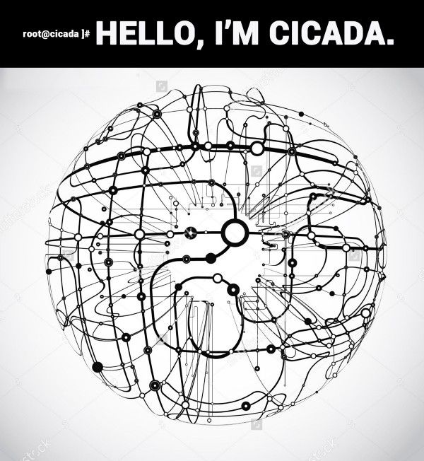 طوفان حشره و نغمه معمای سیسادا طوفان حشره و نغمه معمای سیسادا