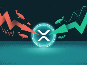 نهنگهای والاستریت نیم میلیارد ریپل خریدند؛ آیا انفجار قیمت XRP نزدیک است؟