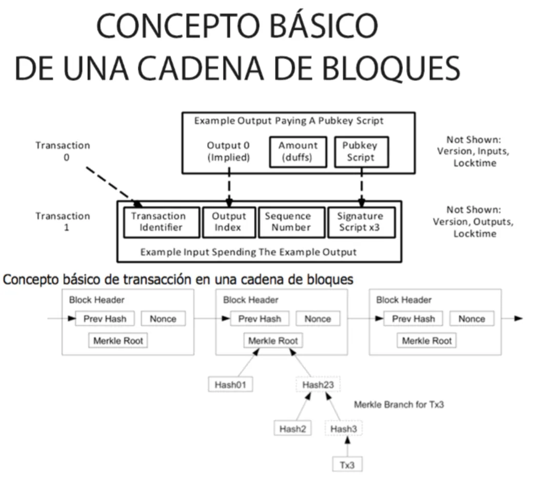 رسوایی دیگری برای ارز دیجیتال پترو با کپی‌برداری از پروژه دَش