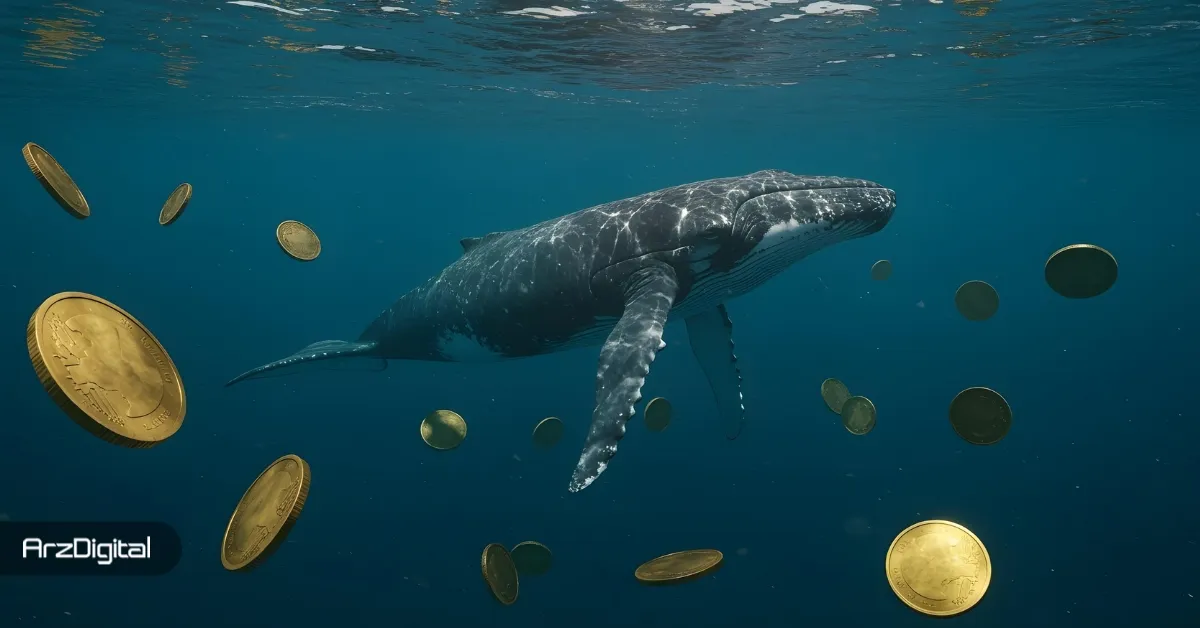 نهنگ‌های ارز دیجیتال مشغول خرید و فروش چه ارزهایی هستند؟
