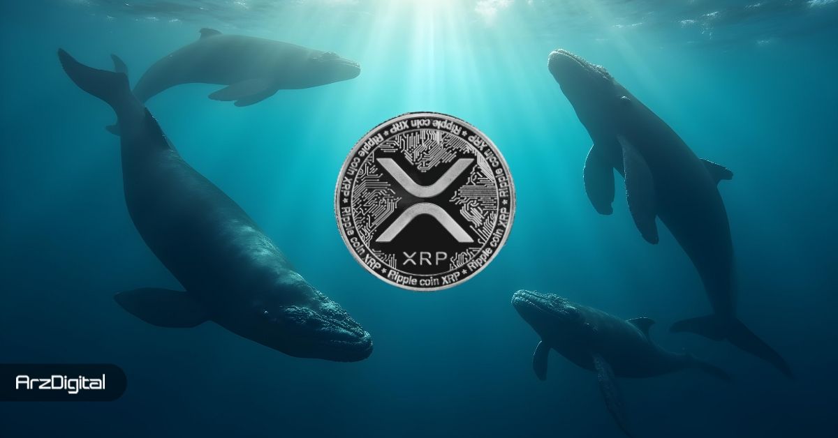 نهنگ‌های ریپل فرصت خرید XRP را غنیمت شمردند!
