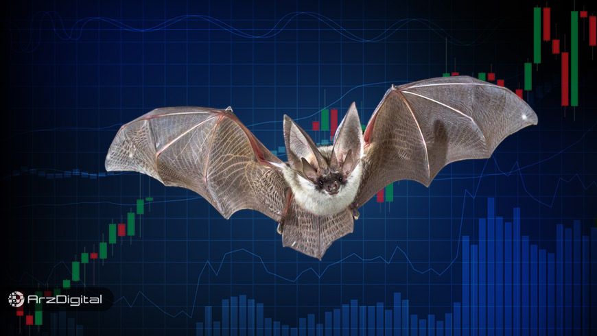 مهیا شدن شرایط تکنیکال و فاندامنتال توکن بت (BAT) برای روند صعودی
