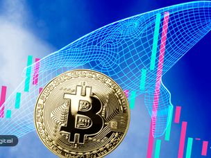 نهنگ ناشناس پیش‌بینی قیمت بیت کوین خود را اعلام کرد