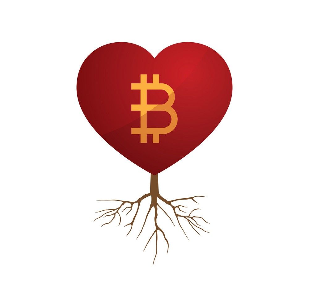 نتایج یک نظرسنجی: اشاره به ارزهای دیجیتال در پروفایل شبکه‌های اجتماعی دوست‌یابی، توجه دیگران را جلب می‌کند