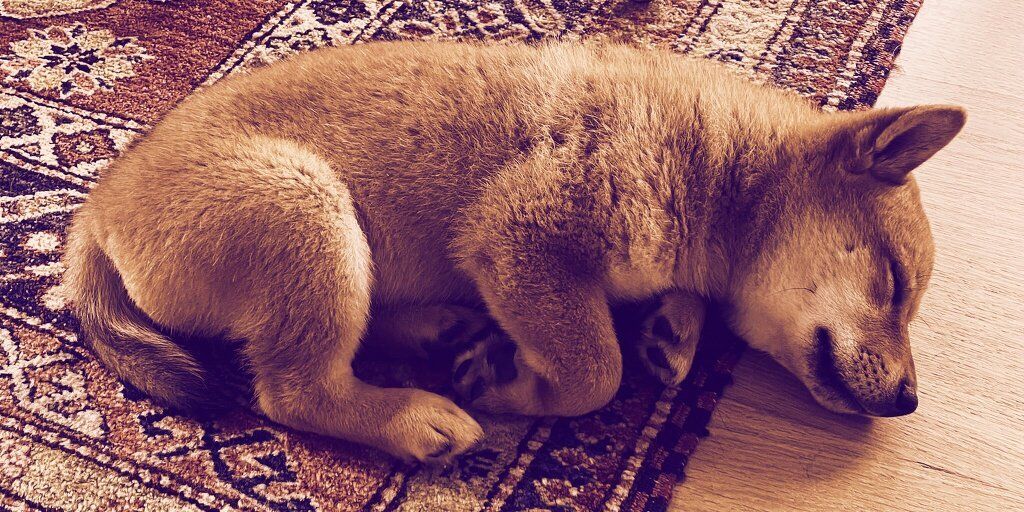 رشد ۲۲۳ درصدی Floki Inu در روز اخیر