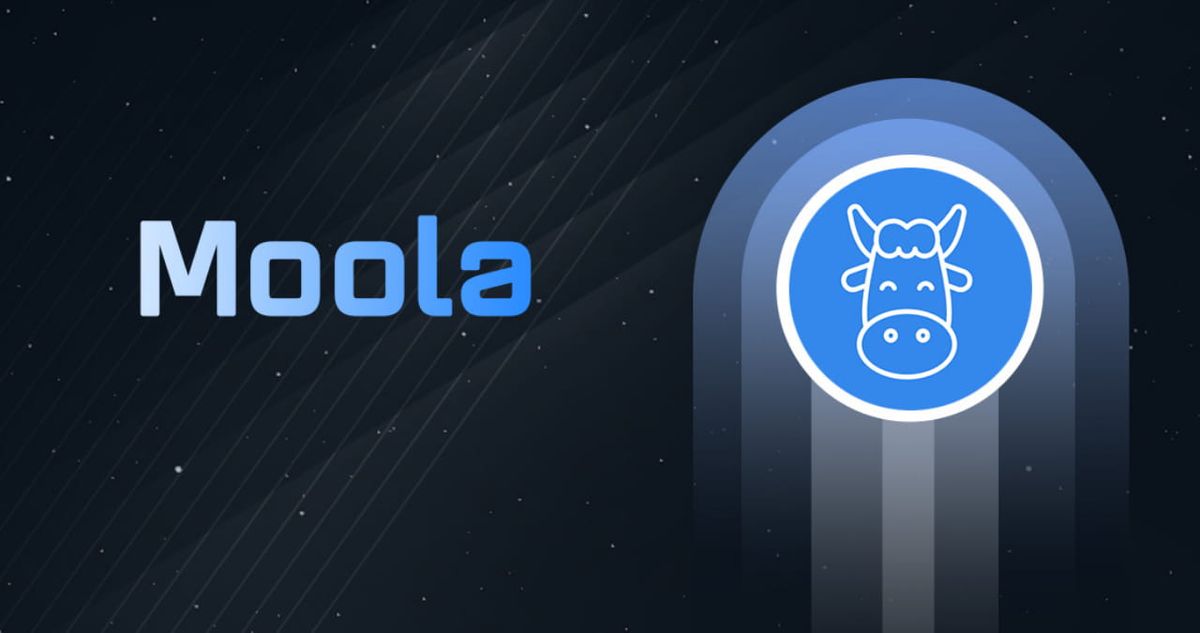 پروتکل مولا مارکتس در جریان یک هک ۸.۴میلیون دلار از دست داد