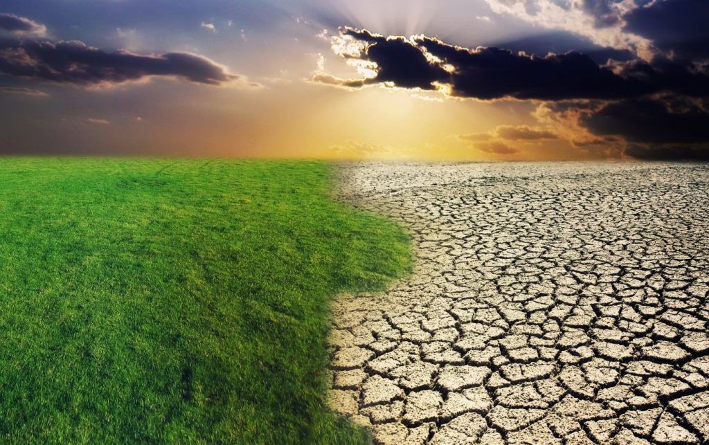 بخش سوم رازهای تریدینگ: پیروزی در بازارهای نزولی ارزهای دیجیتال بخش سوم رازهای تریدینگ: پیروزی در بازارهای نزولی ارزهای دیجیتال